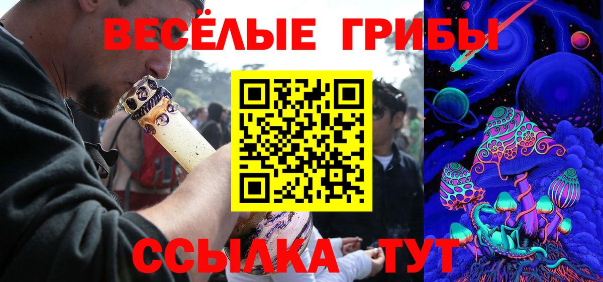 Псилоцибиновые грибы Psilocybine cubensis  Вход с VPN  Михайловск 
