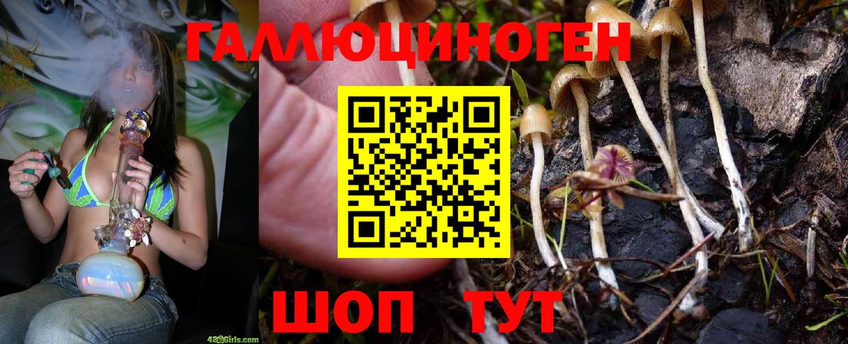 Галлюциногенные грибы мухоморы Михайловск